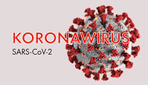 coronawirus