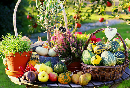 skordefest oland 20111