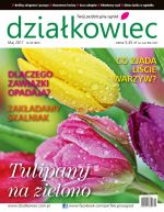 dzialkowiec 05 2017